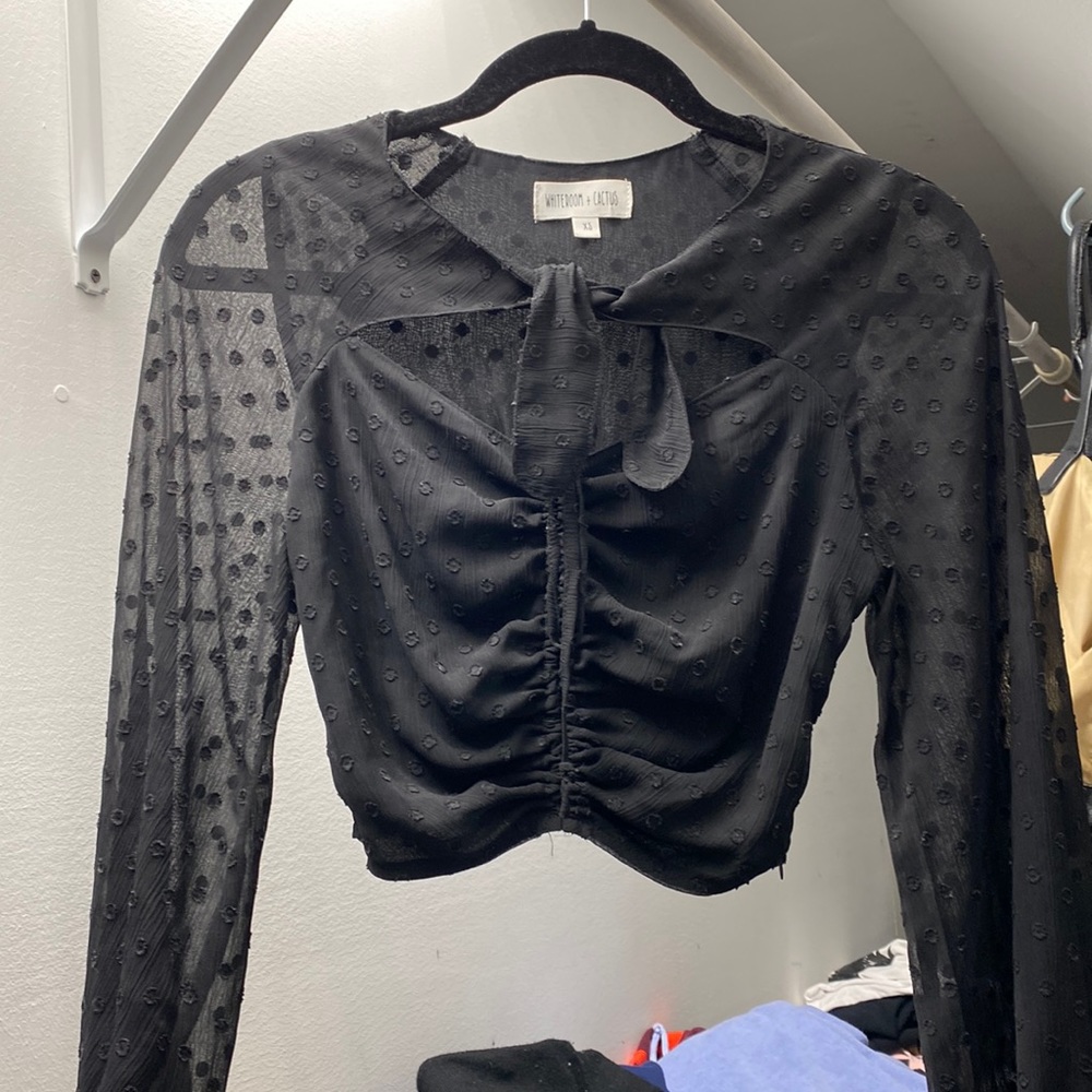crop black long sleeve, sheer on sleeves and not sheer on chest